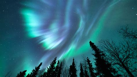 World Famous Northern Lights Viewing Explore Fairbanks Alaska See The Northern Lights