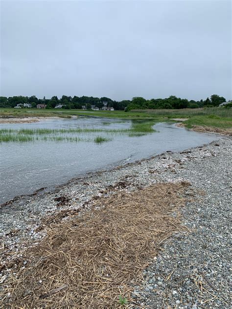 Tides Report: Portsmouth, RI - MyCoast