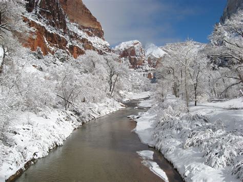 The Zion National Park Shuttle Is Free And Easy To Use Heres How