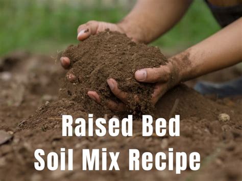 Raised Bed Soil Mix Recipe Learn To Grow Gardens