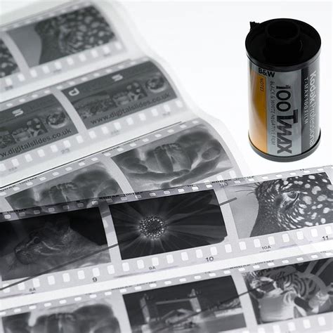 35mm Black And White Negatives Digital Slides