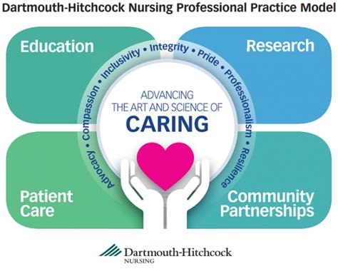 Professional Practice Model Health Care Professionals Dhmc And Clinics