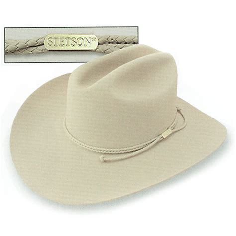 Stetson Carson 6x Fur Cowboy Hat 25698 The Carson From