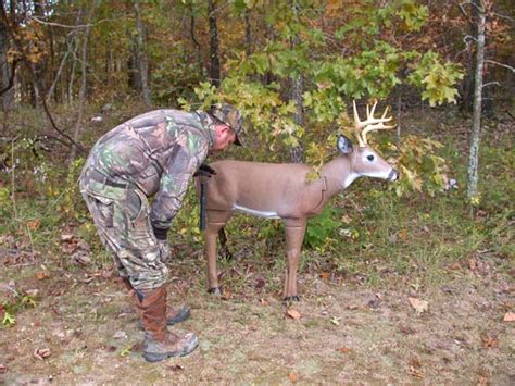 Deer Decoy Secrets Of Pro Hunters