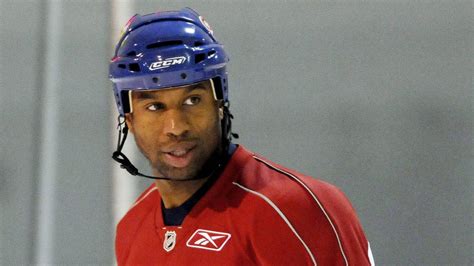 Canadiens Cut Georges Laraque The Globe And Mail