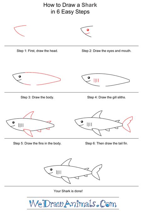 How To Draw A Simple Shark For Kids