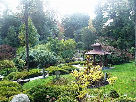 Free Public Domain Photo Of Ireland Japanese Garden