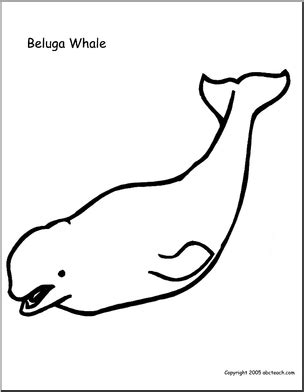 Full of grace under the water and very intelligent. Coloring Page: Beluga Whale | abcteach