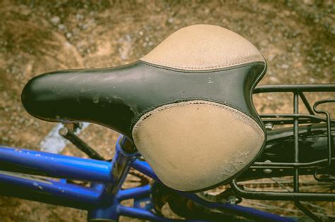 The Best Bike Seat For Males Healthfully