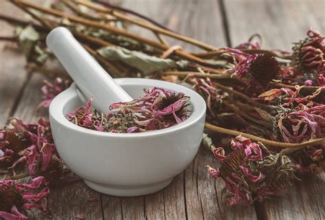 5 Most Powerful Medicinal Plants And Their Health Benefits