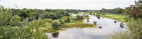 Weather forecast up to 14 days including temperature, weather condition and precipitation and much more. Makgadikgadi Pans Nationalpark - National Park in the ...