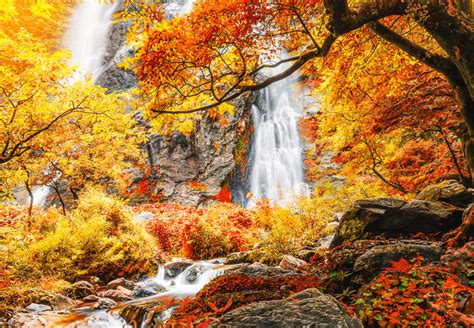 Beautiful Waterfall In Autumn Forest With Red And Yellow Leaves Stock