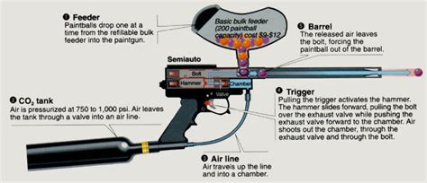 It signals for help and it lets the attacker know you're not an easy target. best paintball gun for self defence