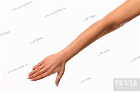 Female Arm In Front Of White Background Stock Photo Picture And