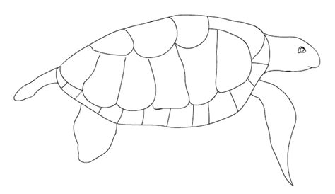 Green sea turtle coloring page. Green Sea Turtle coloring page - Free Printable Coloring Pages