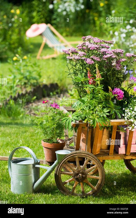 Old Allotment Cart Hi Res Stock Photography And Images Alamy