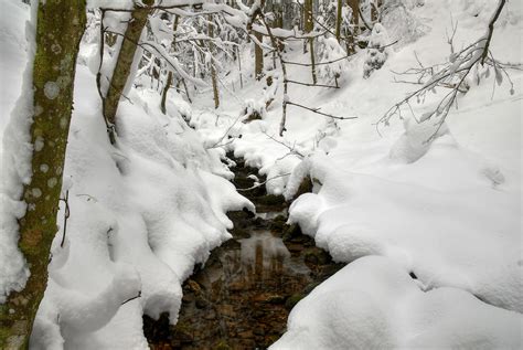 Little Snowy Creek By Burtn On Deviantart