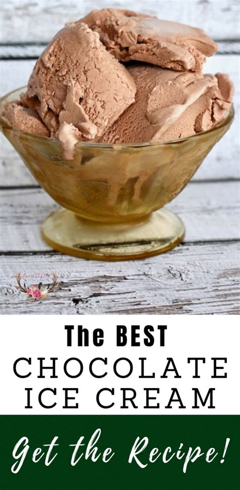 This Is By Far The Best Recipe For Making Chocolate Ice Cream At Home