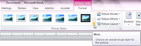 Enhancing Pictures Using The Styles Gallery Feature In Word Excel And