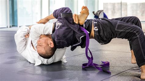Best Bjj Submissions For Mma And Self Defense Evolve University