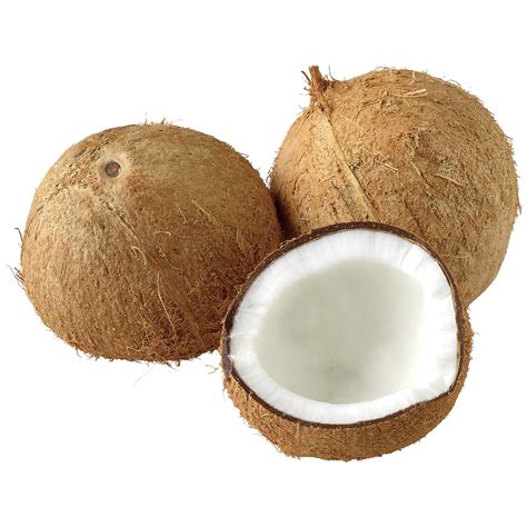 Fresh Brown Coconut Shop Specialty And Tropical At H E B