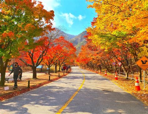 10 Best Mountains To Hike In Korea At Any Time