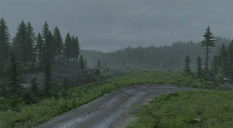 Rally Forest Beamng