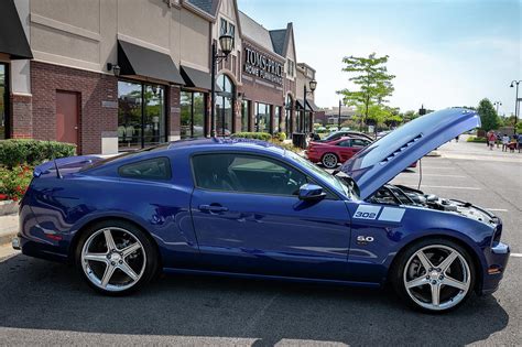 2014 ford mustang saleen s302 for sale in naples fl. 2014 Saleen 302 Mustang Photograph by Randy Scherkenbach