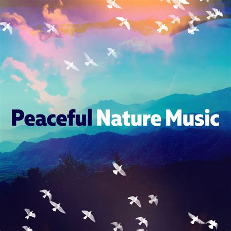 Peaceful Nature Music Álbum De Nature Sounds For Relaxation And Sleep Spotify