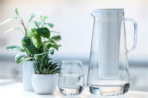 This will be discussed in more detail in a separate section below. LifeStraw Home: Most powerful water filter pitcher ...