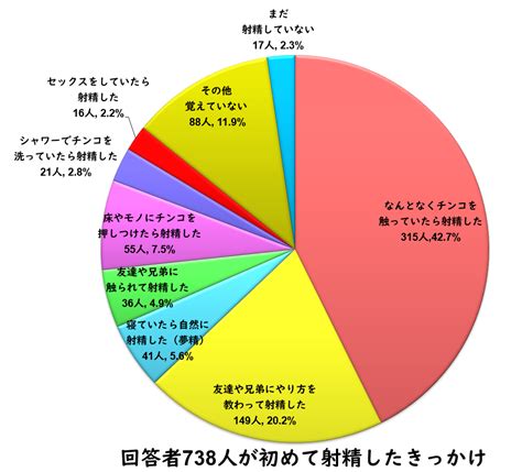 中学生ズル剥けチンポ投稿画像