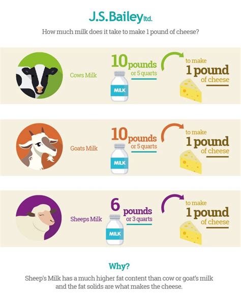 Exchange rate has reached to lowest price. How Much Milk Makes One Pound Of Cheese? | J.S. Bailey