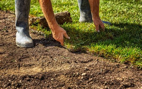 The second best time to install sod is during the spring. When is the Best Time to Lay Sod? | Sod University | Sod ...
