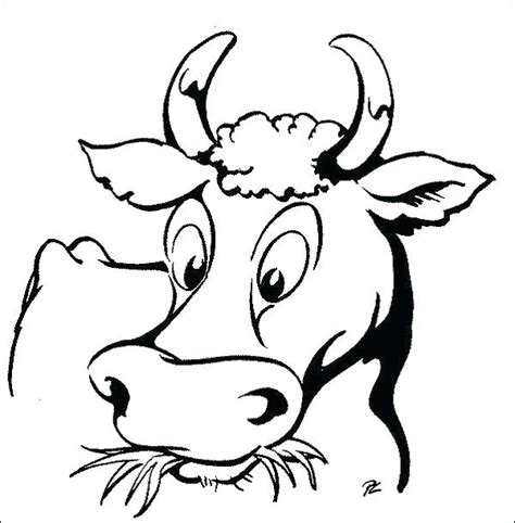 Amongst many awesome advantages, it will help him/her recognize colors, develop motor skills, and their little focus muscles. Cow Face Coloring Pages at GetColorings.com | Free ...