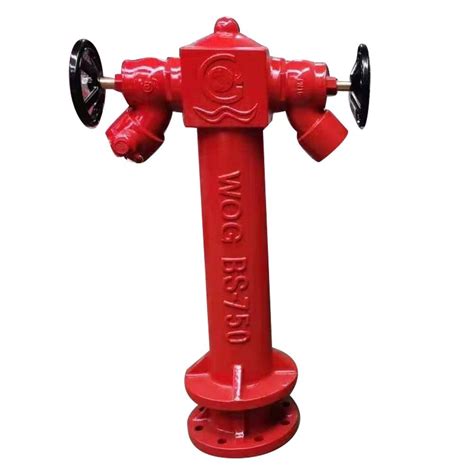 Mild Steel Fire Hydrant Pump 5 HP At Rs 19000 In Kanpur ID 23337976412