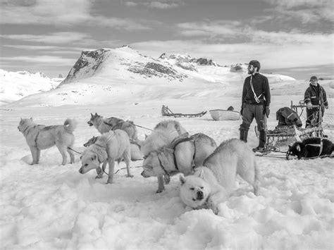 Dog Sled Expedition In East Greenland Guide To Greenland Guide To