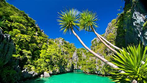 The Bacuit Archipelago Philippines The Golden Scope