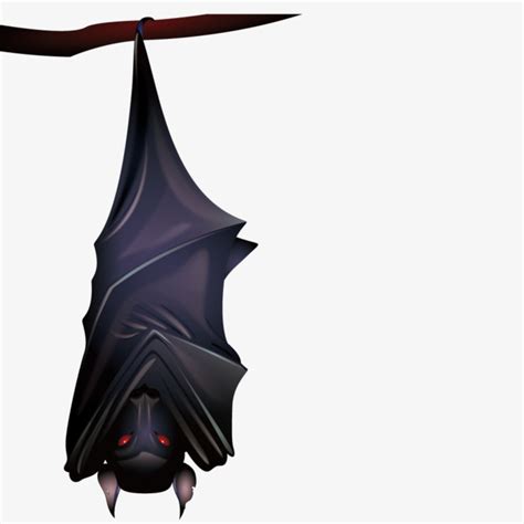 Hanging Bat Drawing Free Download On Clipartmag