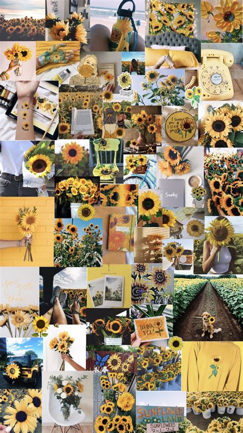 Sunflowers 🌻 Aesthetic Background