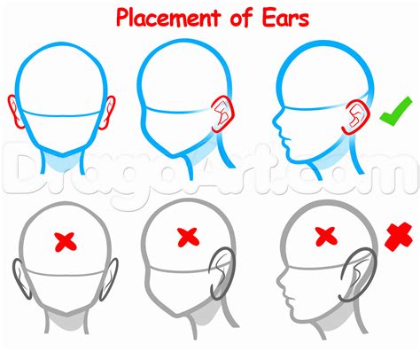 How To Draw Ears For Beginners Step By Step Ears People