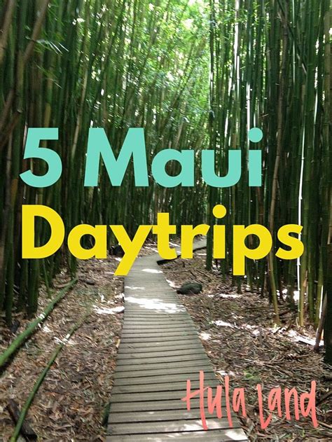 Get Out And Explore The Best Of Maui With These Daytrips Trip To Maui