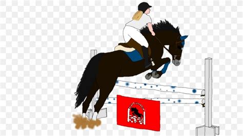 Show Jumping Stallion Hunt Seat Mustang Rein Png 900x506px Show