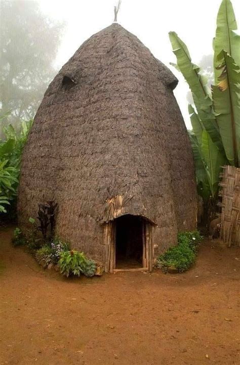 cozy homes with cozy views — traditional house in ethiopia