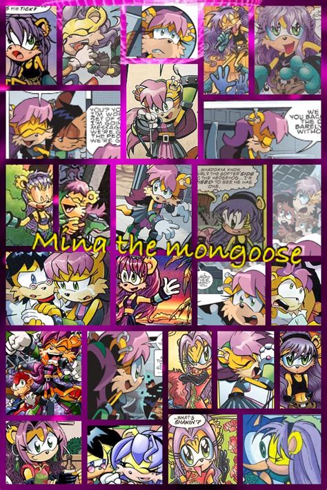 Mina The Mongoose Sonic Fan Art Hedgehog Art Sonic Fan Characters