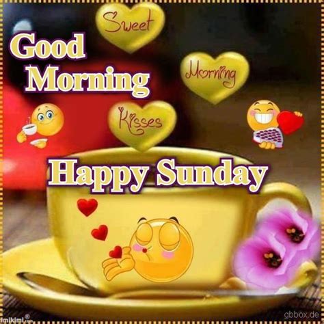 Good Morning Happy Sunday Pictures Photos And Images For