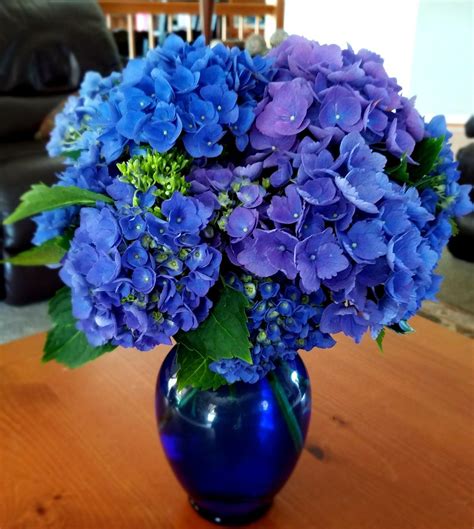 Beautiful Blue Hydrangeas Hydrangea Flower Arrangements Flower