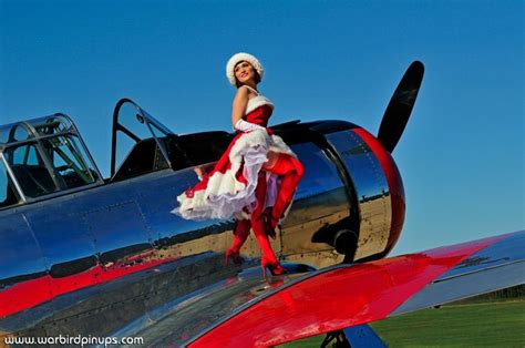Warbird Pinup Girls 2014 Calendar Recips Aircraft Pin Up Girls