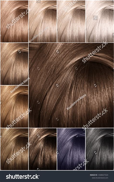 Color Chart Tints Hair Color Palette Stock Photo 1338927323 Shutterstock