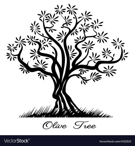 Olive Tree Silhouette Royalty Free Vector Image