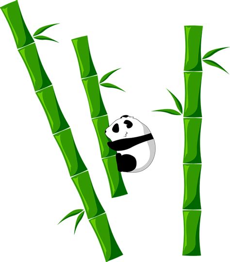 Bamboo Panda Free Image On Pixabay